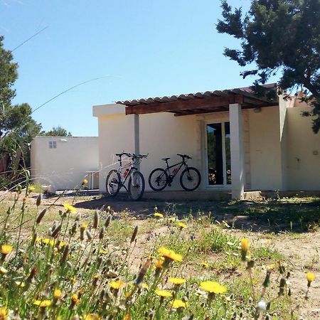 La Casita Yolanda, Ideal Parejas - Formentera Natural Сан Феран де сес Рокес Екстериор снимка